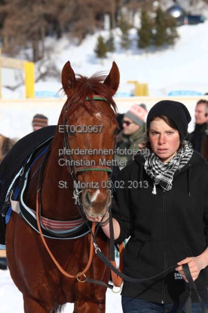 ET0Q0967 prot